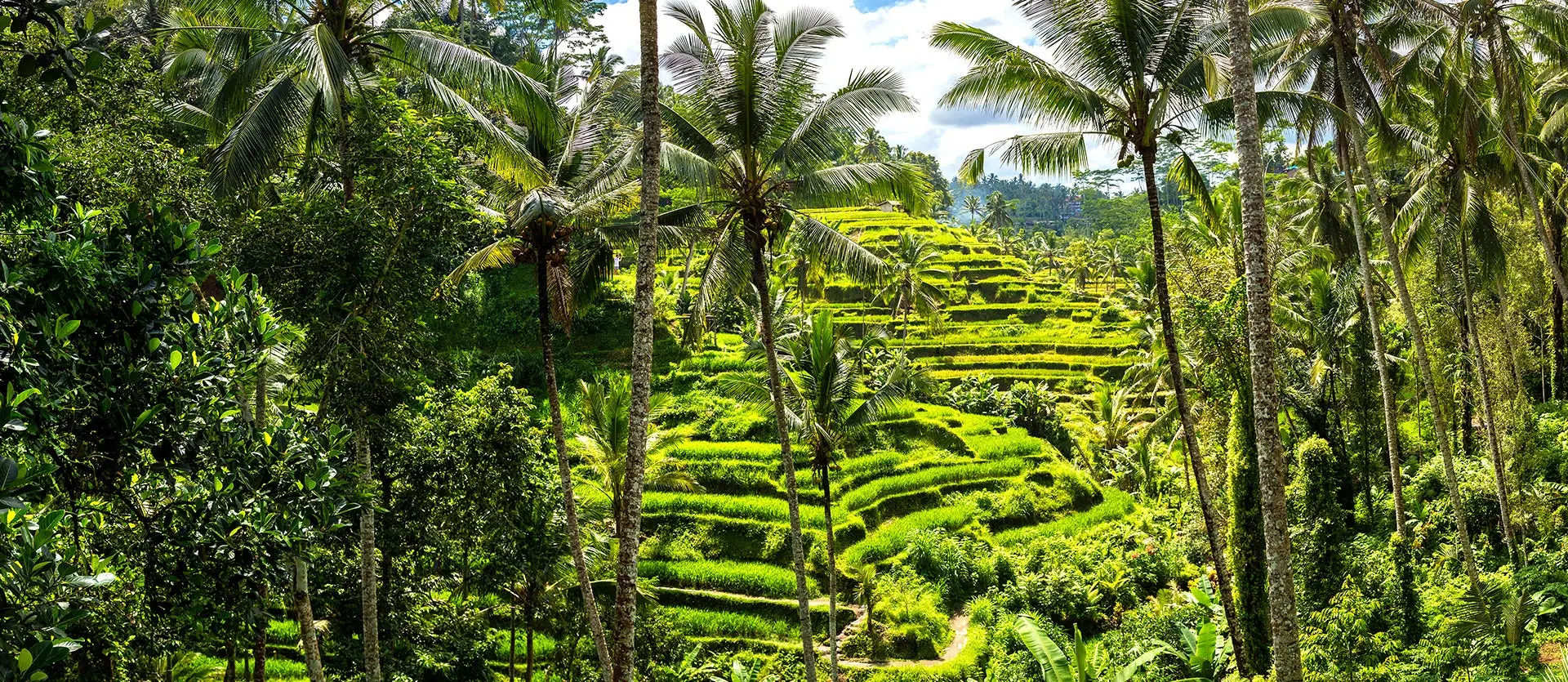 BALI